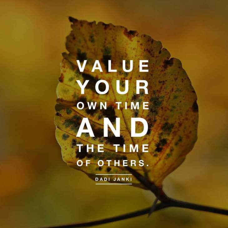 wp-1453225511284 image